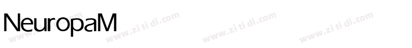 Neuropa Medium字体转换